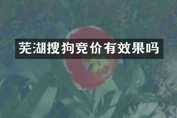 芜湖搜狗竞价有效果吗