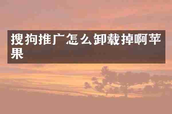 搜狗推广怎么卸载掉啊苹果