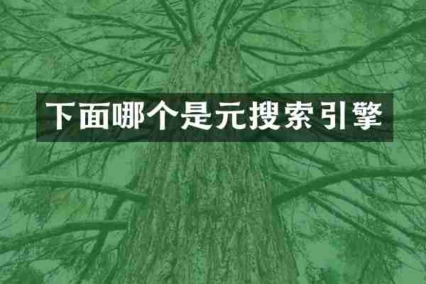 下面哪个是元搜索引擎