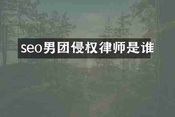 seo男团侵权律师是谁