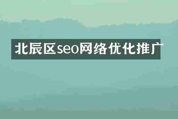 北辰区seo网络优化推广