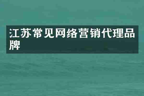 江苏常见网络营销代理品牌