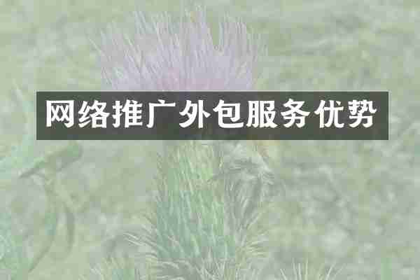 网络推广外包服务优势