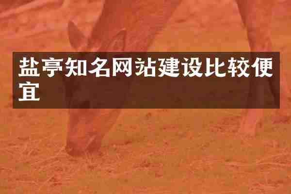 盐亭知名网站建设比较便宜