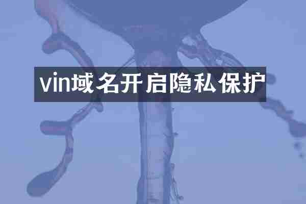 vin域名开启隐私保护