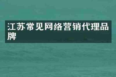 江苏常见网络营销代理品牌