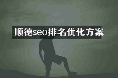 顺德seo排名优化方案