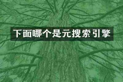 下面哪个是元搜索引擎