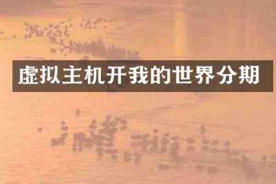 虚拟主机开我的世界分期