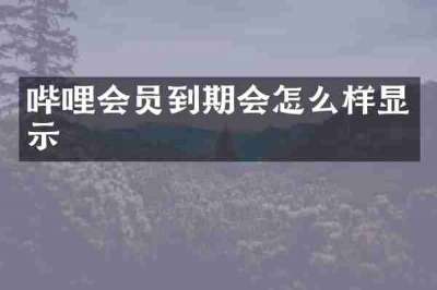 哔哩会员到期会怎么样显示