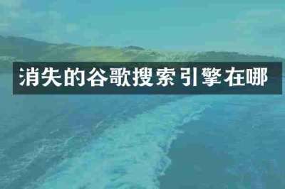 消失的谷歌搜索引擎在哪