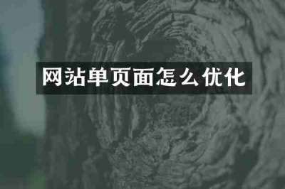 网站单页面怎么优化