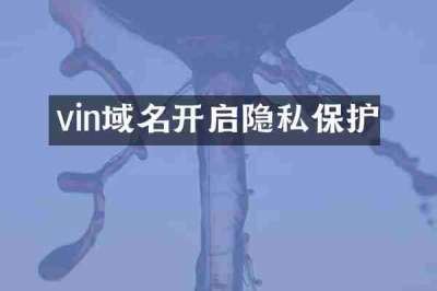 vin域名开启隐私保护