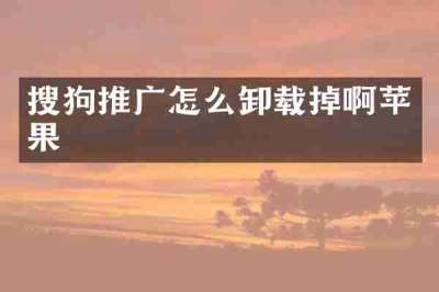 搜狗推广怎么卸载掉啊苹果