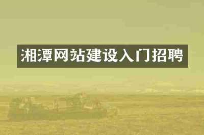 湘潭网站建设入门招聘