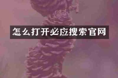 怎么打开必应搜索官网