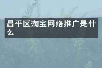 昌平区淘宝网络推广是什么