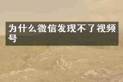 为什么微信发现不了视频号