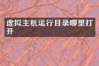 虚拟主机运行目录哪里打开