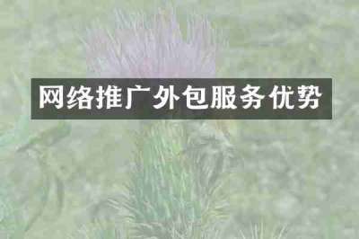网络推广外包服务优势