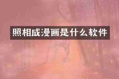 照相成漫画是什么软件