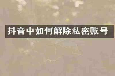 抖音中如何解除私密账号