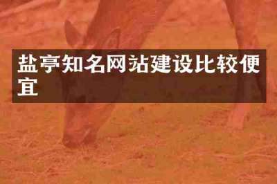 盐亭知名网站建设比较便宜