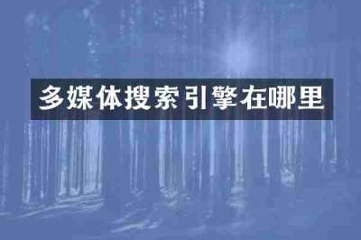 多媒体搜索引擎在哪里
