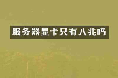 服务器显卡只有八兆吗