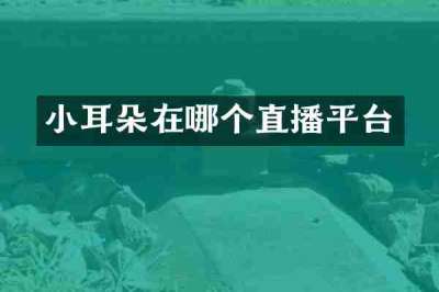 小耳朵在哪个直播平台
