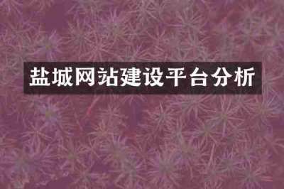 盐城网站建设平台分析