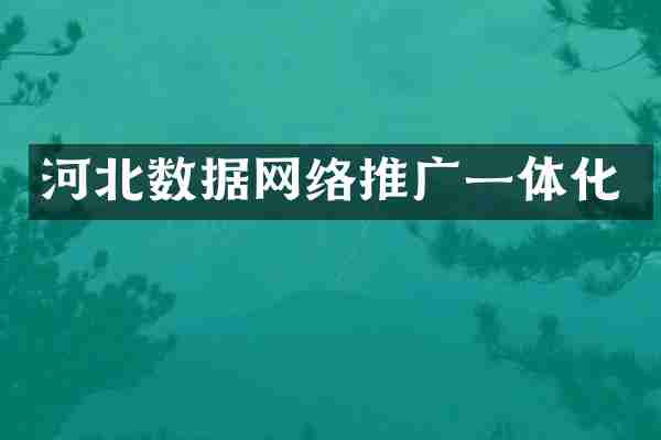 河北数据网络推广一体化