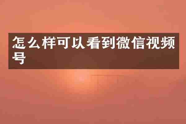 怎么样可以看到微信视频号