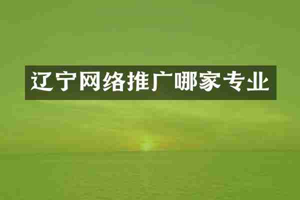辽宁网络推广哪家专业
