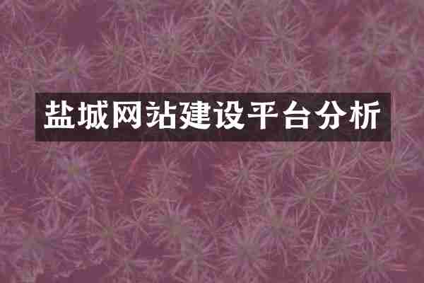 盐城网站建设平台分析