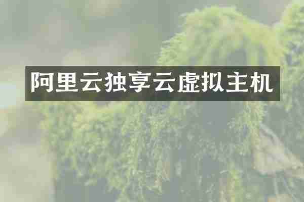 阿里云独享云虚拟主机