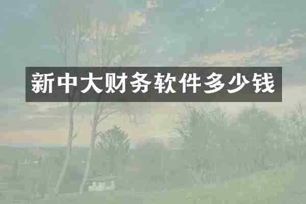 新中大财务软件多少钱