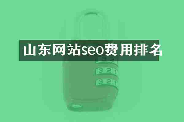 山东网站seo费用排名