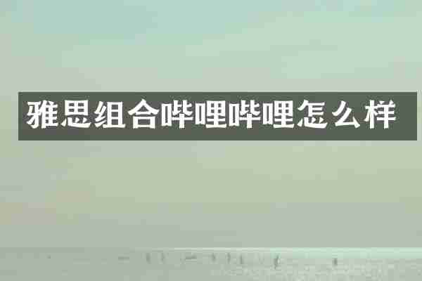 雅思组合哔哩哔哩怎么样