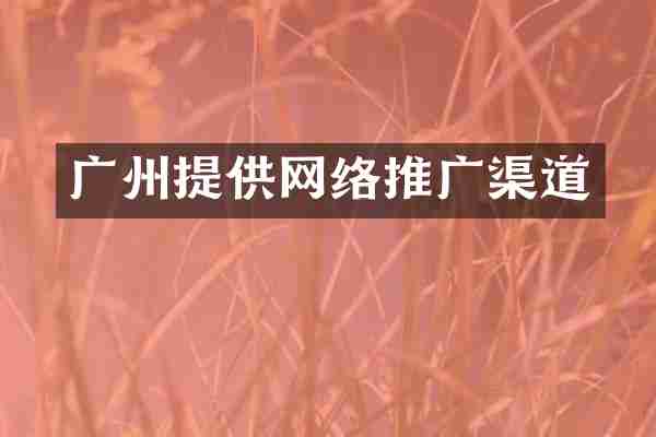 广州提供网络推广渠道