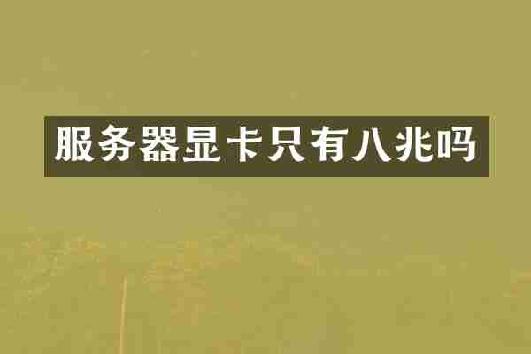 服务器显卡只有八兆吗