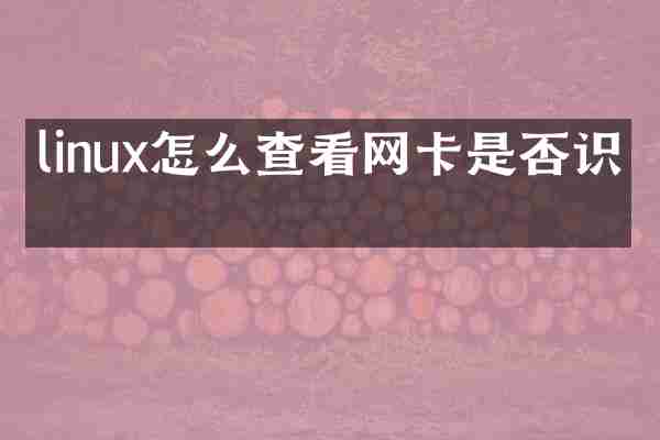 linux怎么查看网卡是否识别