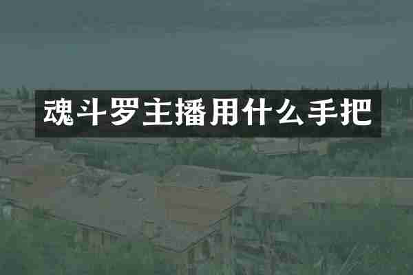 魂斗罗主播用什么手把