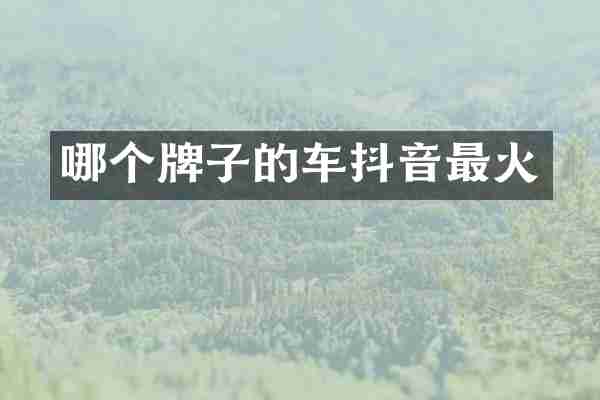 哪个牌子的车抖音最火