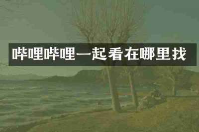 哔哩哔哩一起看在哪里找
