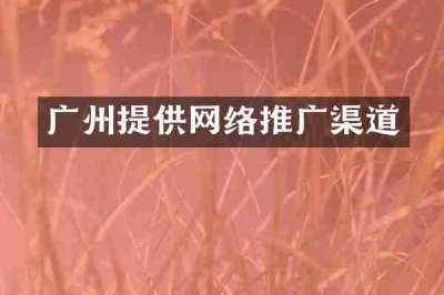 广州提供网络推广渠道