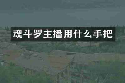 魂斗罗主播用什么手把