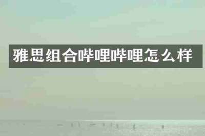 雅思组合哔哩哔哩怎么样