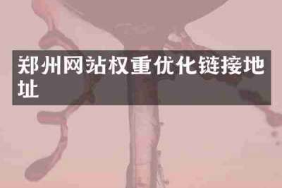 郑州网站权重优化链接地址