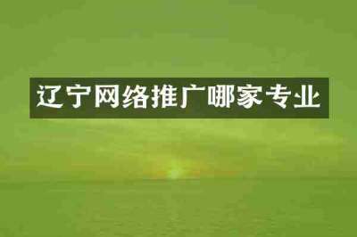 辽宁网络推广哪家专业